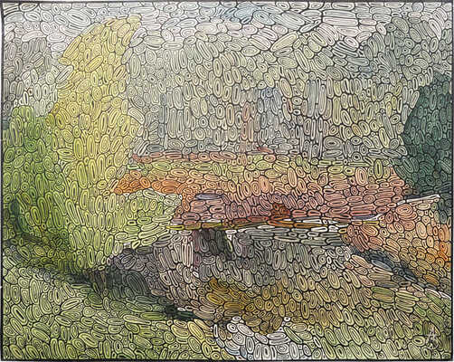 Забиронин Андрей Николаевич. Перламутр лета 